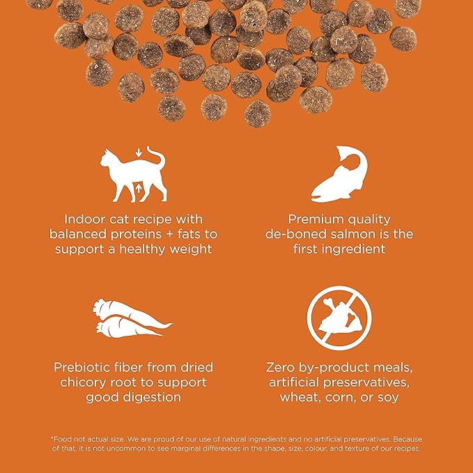 Go! Solutions Skin + Coat Care Salmon Grain-Free Dry Cat Food, Chicken-Free, Healthy Kibble with Omega-3s & 6s for Soft, Shiny Fur, for Kittens, Adults, & Seniors, 16 lb Bag