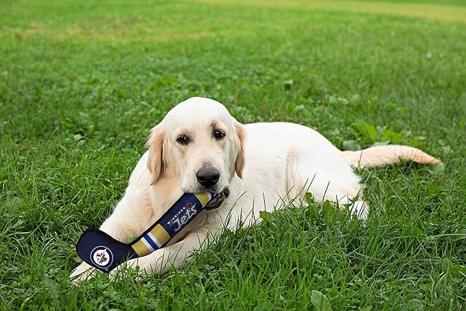 Pets First NHL Winnipeg Jets Stick Toy for Dogs & Cats. Play Hockey with Your Pet with This Licensed Dog Tough Toy Reward!
