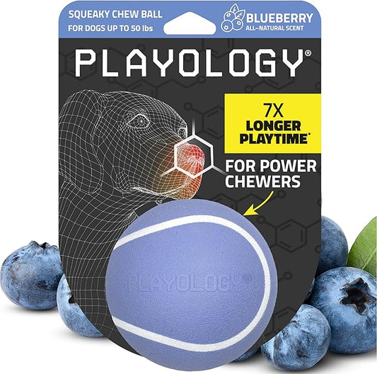 Playology Dog Toys | Squeaky Chew Ball - Bouncy Durable Floating Fetch Ball for Dogs | Medium Blueberry Scented Toy - Easy to Clean and Made from Non Toxic Materials