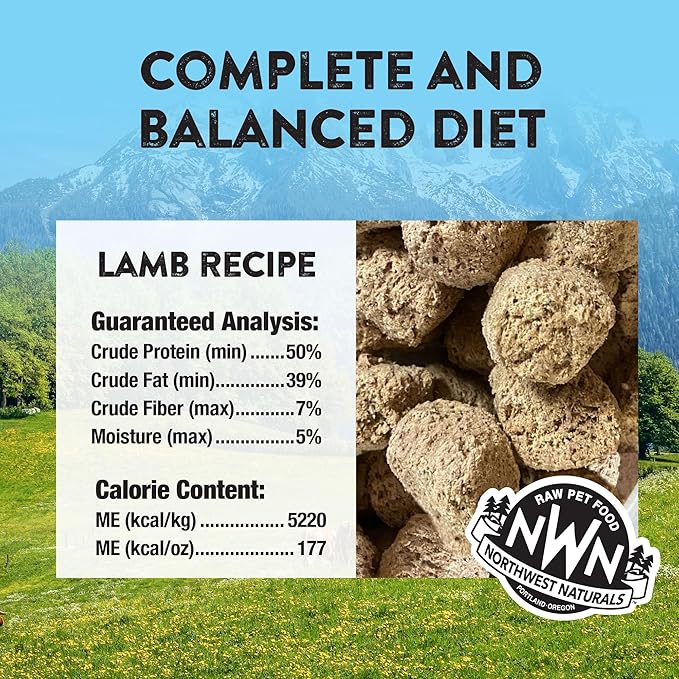 Northwest Naturals Freeze-Dried Lamb Dog Food - Bite-Sized Nuggets - Grain-Free, High-Protein, Raw Diet, Human-Grade, Limited Ingredients, All Natural, Nutrient-Dense, Healthy & Nutritious - 12 Oz