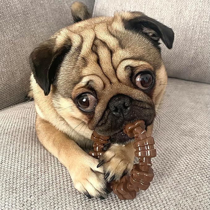 Nylabone Textured Ring Power Chew Toy for Small Dogs, Tough Dog Toys Durable Design for Aggressive Chewers, Best Dog Boredom Toys, Flavor Medley, Small - Up to 25 lbs (1 Count)