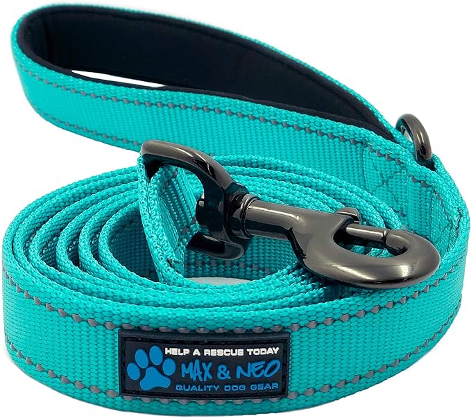Max and Neo Reflective Nylon Dog Leash - We Donate One for Every Sold (Teal, 4x1)