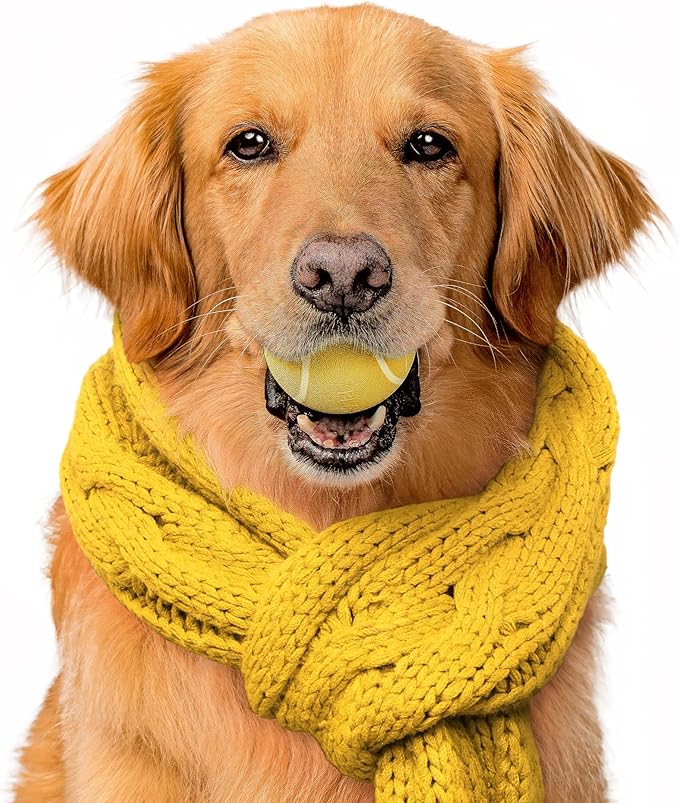 Playology Dog Toys | Squeaky Chew Ball - Bouncy Durable Floating Fetch Ball for Dogs | Medium Apple Cider Limited Edition Fall Scented Toy - Easy to Clean and Made from Non Toxic Materials