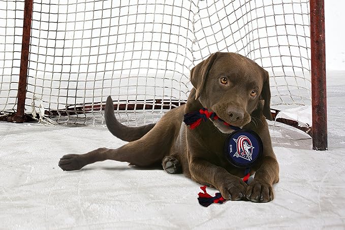 Pets First NHL Columbus Blue Jackets Puck Toy for Dogs & Cats. Play Hockey with Your Pet with This Licensed Dog Tough Toy Reward!
