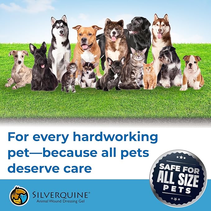 Dog Wound Care Gel - Hot Spot Gel Solution for Dogs and Cats - Safe If Licked, Odorless Silver Hydrogel Ointment for Pets Cuts, Burns, Scratches, Sores and Skin Concerns - 4.0 Oz