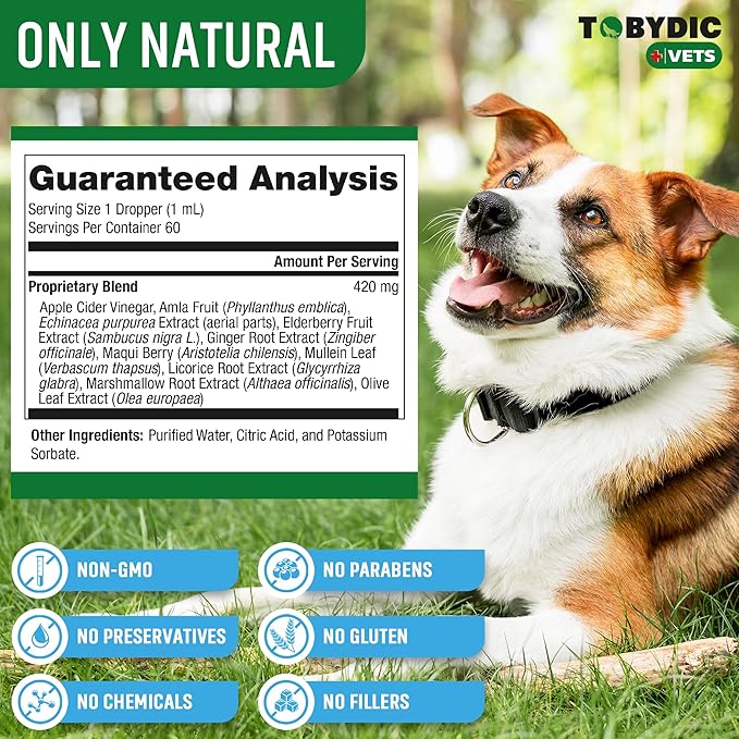 Dry & Wet Kennel Cough Natural Relief for Dogs and Cats - Herbal Treatment Support Helps to Soothe Throat & Respiratory Trachea Comfort Supplement for Pets - Made in USA