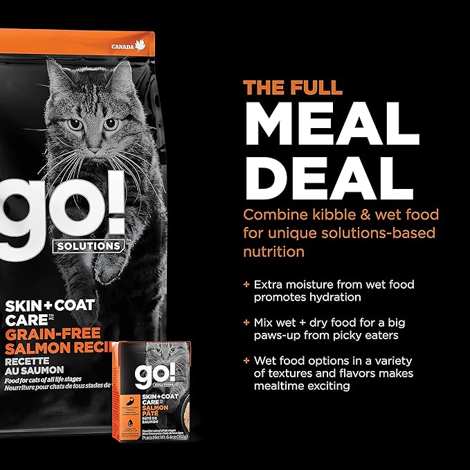 Go! Solutions Skin + Coat Care Salmon Grain-Free Dry Cat Food, Chicken-Free, Healthy Kibble with Omega-3s & 6s for Soft, Shiny Fur, for Kittens, Adults, & Seniors, 16 lb Bag