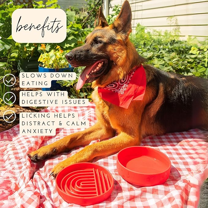 Should We Go? Slow Feeder for Dogs & Puppies, The Slowdown Bowl Silicone Slow Eating, Modern Lick Mat Design, Reduces Gulping, Fits 2 Cups, 7.5” Across x 1.5” Tall, Mealtime Challenge, Medium-Cherry