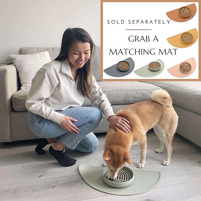 Should We Go? Slow Feeder for Dogs & Puppies, The Slowdown Bowl Silicone Slow Eating, Modern Lick Mat Design, Reduces Gulping, Fits 2 Cups, 7.5” Across x 1.5” Tall, Mealtime Challenge, Medium-Blush