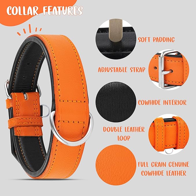 Riparo Orange Leather Dog Collar - Padded Heavy Duty Wide Dog Collar for Small, Medium, Large and Extra Large Dogs with Dog Tag Holder, Large Dog Collars (L: 1.5" Wide for 17"-21" Neck, Orange)
