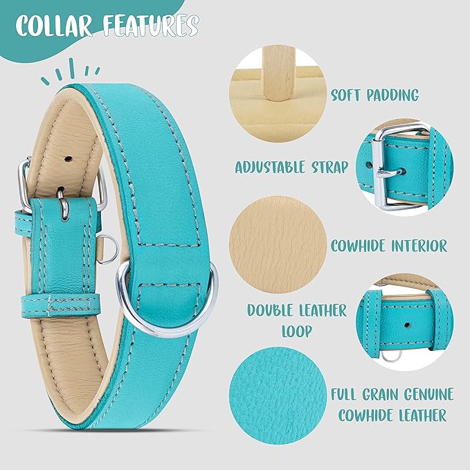 Riparo Adjustable Leather Dog Collar - Heavy Duty Wide Dog Collar for Small, Medium, Large and Extra Large Dogs with Dog Tag Holder (L: 1.5" Wide for 17"-21" Neck, Aqua)