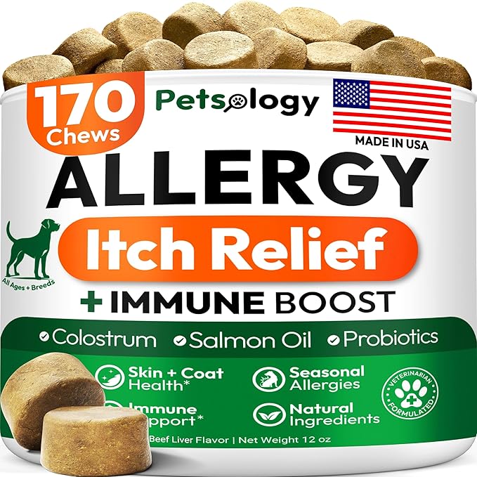 Dog Allergy Relief Chews - 170 Dog Allergy Chews - Itch Relief for Dogs - Omega 3 Fish Oil, Probiotics For Itchy Skin & Hot Spots Allergies, Paw Licking, Dry Skin & Coat Supplement - Beef Liver Flavor