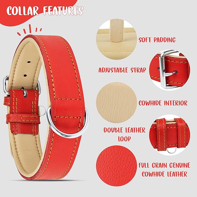Riparo Red Dog Collar, Dog Collars for Medium Dogs, Leather Dog Collar for Medium Dogs (M: 1" Wide for 13.5”-17.5” Neck, Red)
