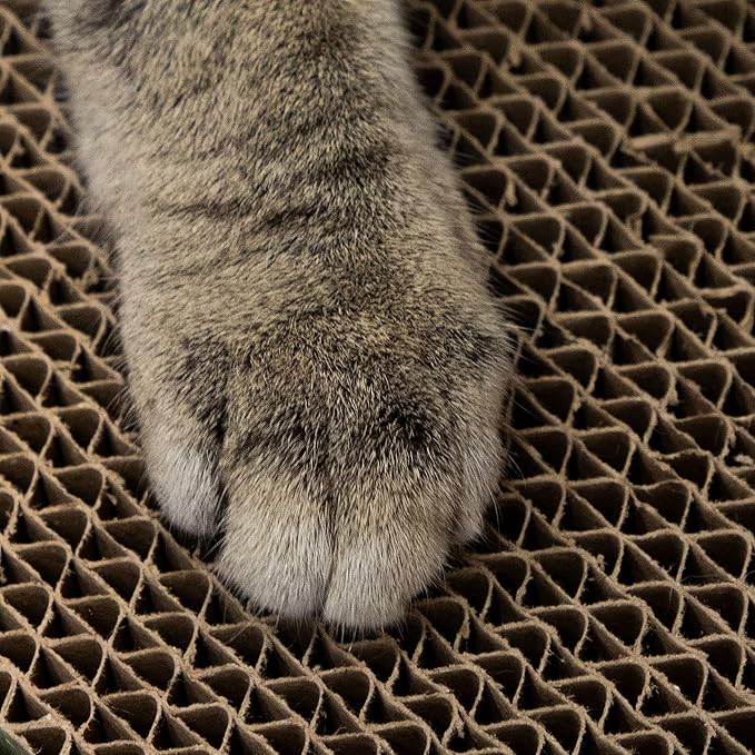 Chew King Premium Treat Dog Toy, Medium, Extremely Durable Natural Rubber Fillable Toy Collection, Frozen Feeding