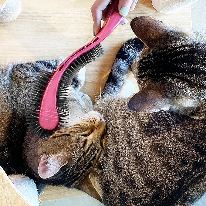 Cat Brush, Black. Designed for Comfort, Created for Results. Innovative grooming brush features multi contoured shapes that gently adapt to your cats body for a stress free grooming.