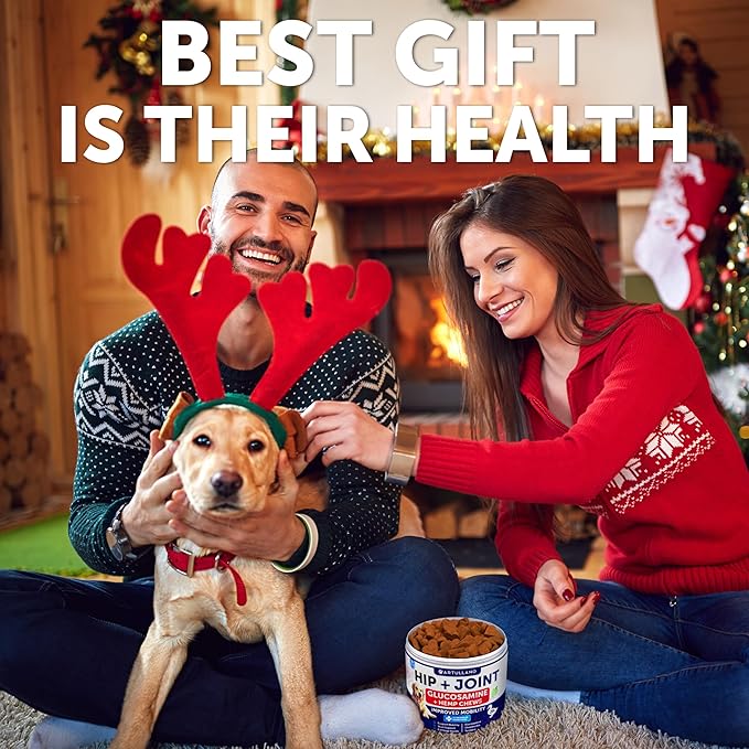 Hemp Hip and Joint Supplement for Dogs - Glucosamine for Dogs Joint Pain Relief - Chews with Chondroitin, MSM, Hemp Oil - Mobility Support, Cartilage Health - For Large, Small breeds - 120 Soft Treats