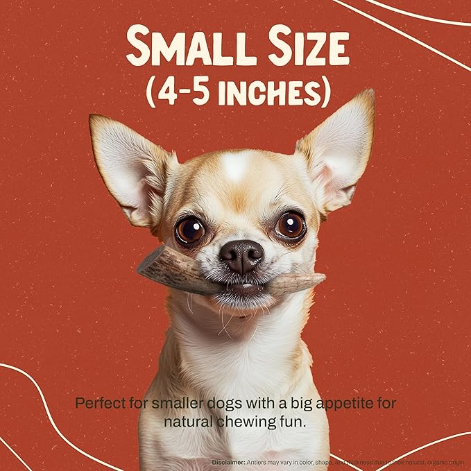 Heartland Deer Antlers for Dogs - Daily Dental Care Chews for Aggressive Chewers to Reduce Plaque & Prevent Destructive Behavior (Small, 4–5, 2-Pack, Grade A, USA Made)