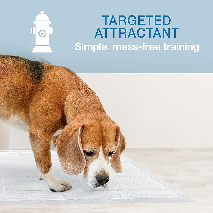 Four Paws Wee-Wee Super Absorbent Unscented Pee Pads for Dogs & Puppies with Insta-Rise Border, Leak-Proof Dog Housebreaking Potty Training Floor Protection, 22" x 23", 10 Count