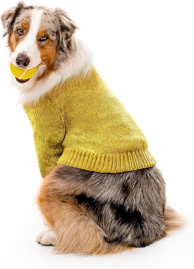 Playology Dog Toys | Squeaky Chew Ball - Bouncy Durable Floating Fetch Ball for Dogs | Jumbo Apple Cider Limited Edition Fall Scented Toy - Easy to Clean and Made from Non Toxic Materials