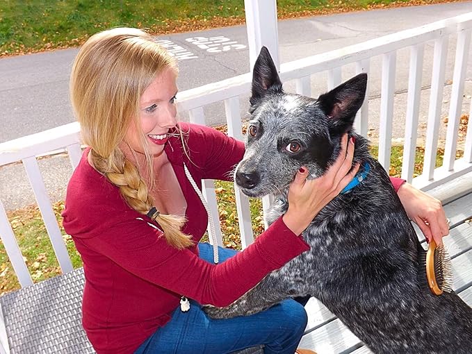 Double Sided Dog Brush - for Long or Short Haired Dogs and Cats Natural Bamboo Eco Friendly Pet Grooming Dual Sided Pin and Bristles for Deshedding Hair