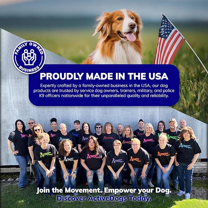 ActiveDogs Hands Free Dog Leash – Adjustable 4-Point Crossbody Hands Free Leash for Mobility & Training – Waist Belt for Dog Walking - Durable 3/4" Double-Stitched Nylon, Black, 6.5ft