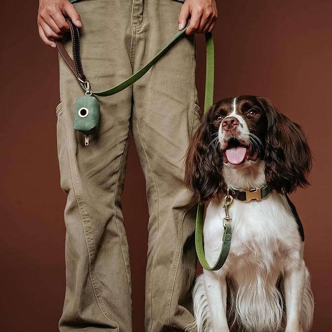 Didog PU Leather Dog Leash for Small Dogs 4.5ft, Soft Padded Handle Dog Leashes for Medium Size, Walking and Training Leashes Faux Leather for Large Pet,Green