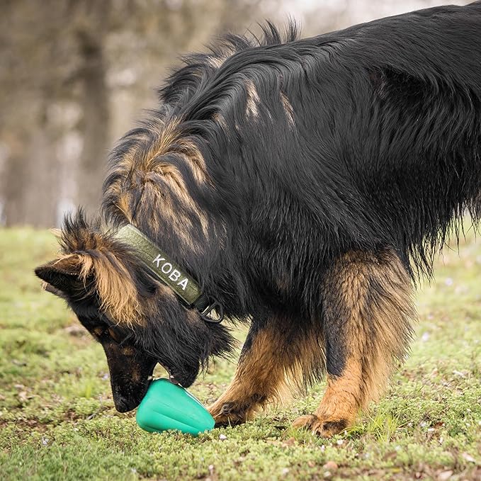 Chew King by Mammoth Premium Treat Dog Toy, XL, Extremely Durable Natural Rubber Toy, Pack of 2, All Breed Sizes