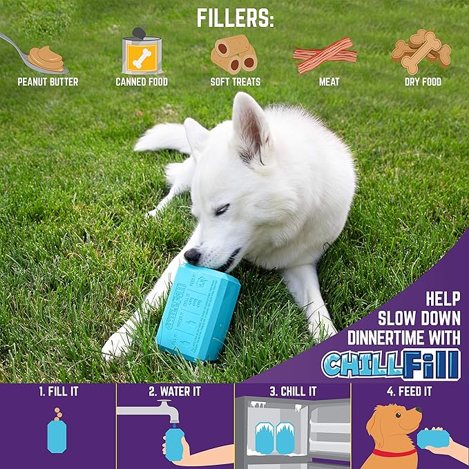 Chew King Premium Treat Dog Toy, XL, Extremely Durable Natural Rubber Fillable Toy Collection, Frozen Feeding