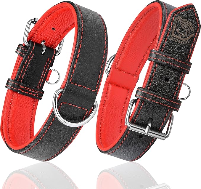 Riparo Genuine Leather Padded Dog Heavy Duty K-9 Adjustable Collar (S: 0.75” Wide for 10”-13.5” Neck, Black/Red Thread)