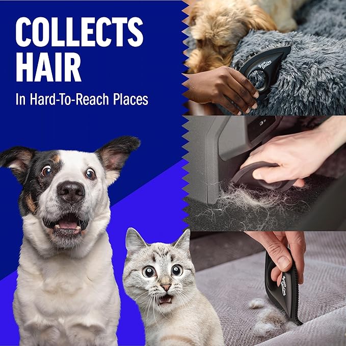 ChomChom Roller & Detailer Bundle - Pet Hair Remover and Reusable Lint Roller - ChomChom Cat and Dog Hair Remover for Furniture, Couch, Carpet, Clothing and Bedding - Multi-Surface Fur Removal Tool