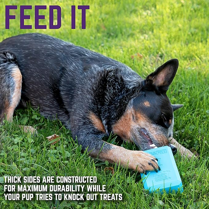 Chew King Premium Treat Dog Toy, XL, Extremely Durable Natural Rubber Fillable Toy Collection, Frozen Feeding