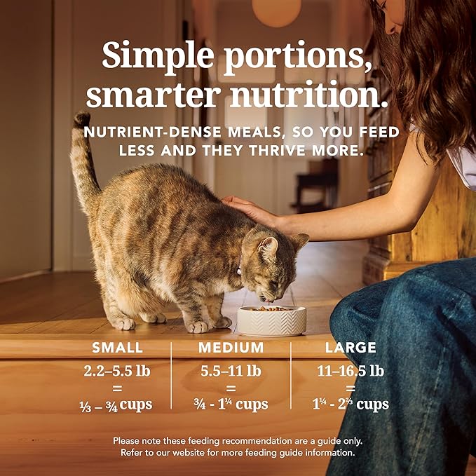 Feline Natural Freeze Dried Cat Food - Grain-Free and High Protein Cat Food from New Zealand, Complete Meal or Topper for Kittens, Adults, and Senior Cats, Chicken and King Salmon, 320g