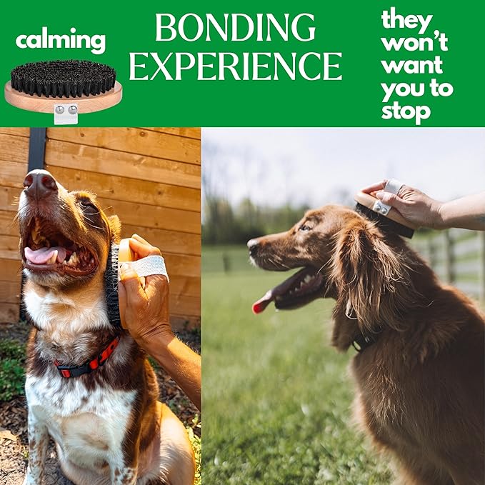 GranNaturals Soft Bristle Dog Brush for Short Haired Dogs & Cats w/Strap - Wooden Handle & Gentle Boar Bristles for Deshedding, Smoothing and Grooming Pet Hair Fur to Give Naturally Shiny Coat