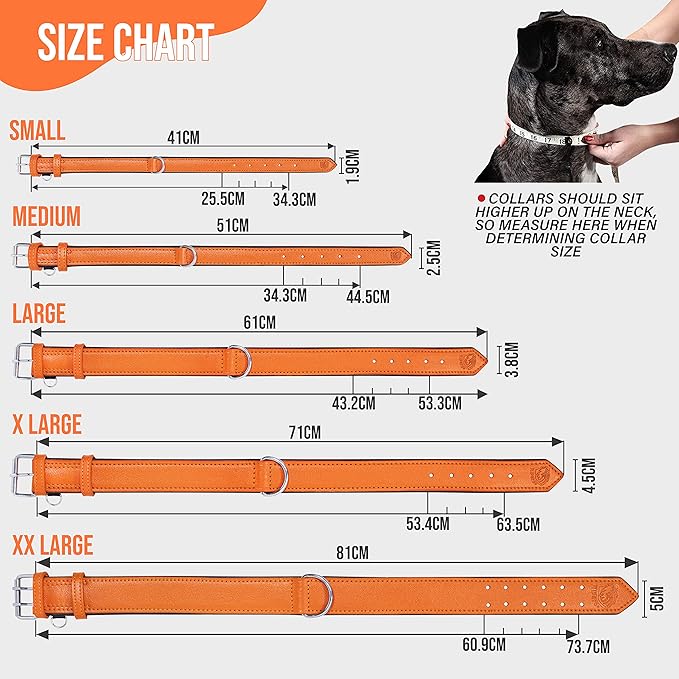 Riparo Orange Leather Dog Collar - Padded Heavy Duty Wide Dog Collar for Small, Medium, Large and Extra Large Dogs with Dog Tag Holder, Large Dog Collars (L: 1.5" Wide for 17"-21" Neck, Orange)