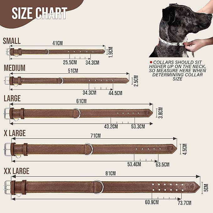 Riparo Brown Leather Dog Collar - Heavy Duty Wide Dog Collar for Small, Medium, Large and Extra Large Dogs with Dog Tag Holder (L: 1.5" Wide for 17"-21" Neck, Brown)