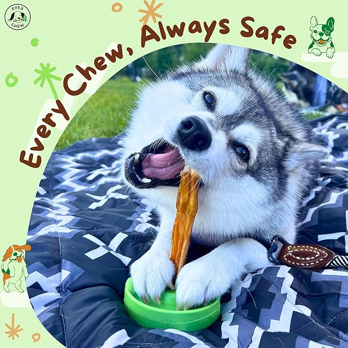 EverChew | Made in USA Bully Stick Holders & Premium All-Natural Bully Stick Starter Packs (SafetyChew & 1 Regular 6" Stick | <16 lbs)