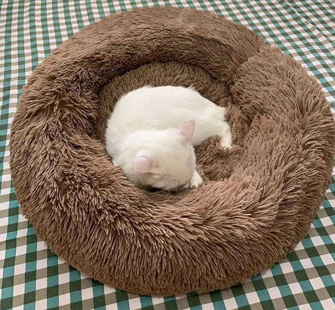 BODISEINT Modern Soft Plush Round Pet Bed for Cats or Small Dogs, Mini Medium Sized Dog Cat Bed Self Warming Autumn Winter Indoor Snooze Sleeping Cozy Kitty Teddy Kennel (24'' D x 8'' H, Coffee)