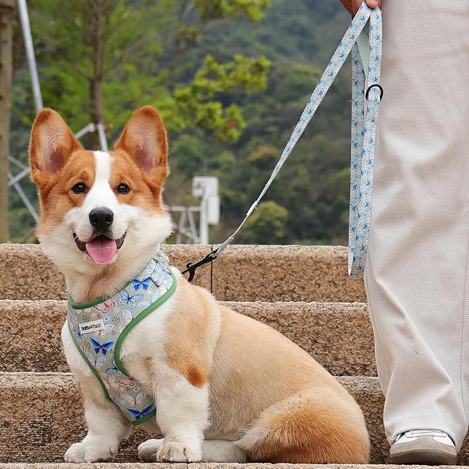 Butterfly Printed Dog Harness with D-Ring Leash Clip Set,Adjustable Soft Padded and Cotton Fabric Pet Vest for Medium and Small Dogs (Green, Medium)