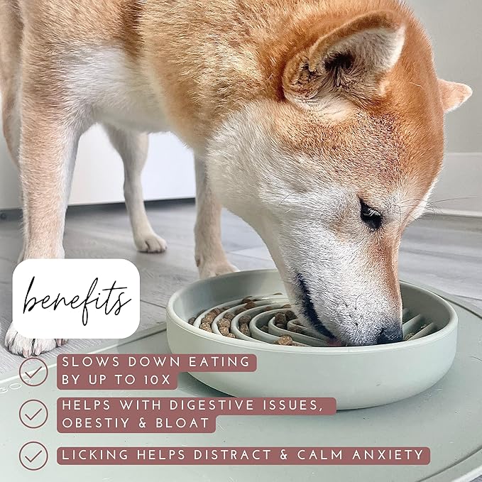Should We Go? Slow Feeder for Dogs & Puppies, The Slowdown Bowl Silicone Slow Eating, Modern Lick Mat Design, Reduces Gulping, Fits 2 Cups, 7.5” Across x 1.5” Tall, Mealtime Challenge, Medium-Sage