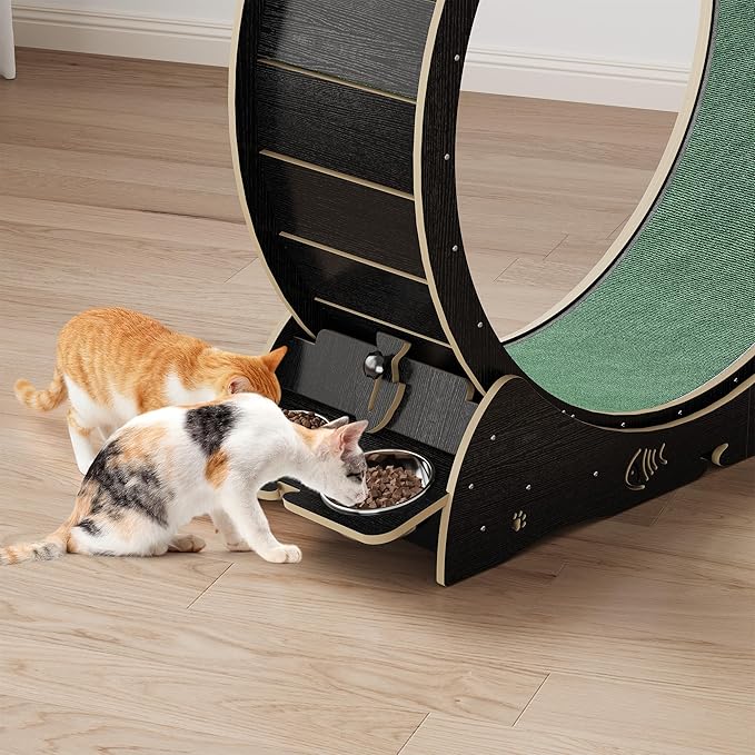 4-in-1 Cat Wheels for Indoor Cats, 40 Inch Large Cat Exercise Wheel, Running Treadmill Wheel with Carpeted Runway, Scratcher