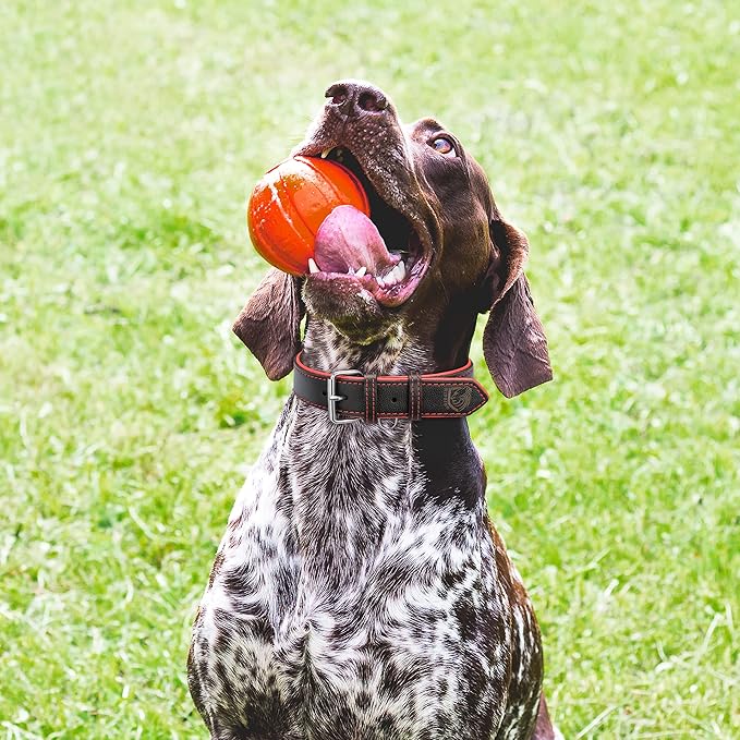 Riparo Genuine Leather Padded Dog Heavy Duty K-9 Adjustable Collar (S: 0.75” Wide for 10”-13.5” Neck, Black/Red Thread)