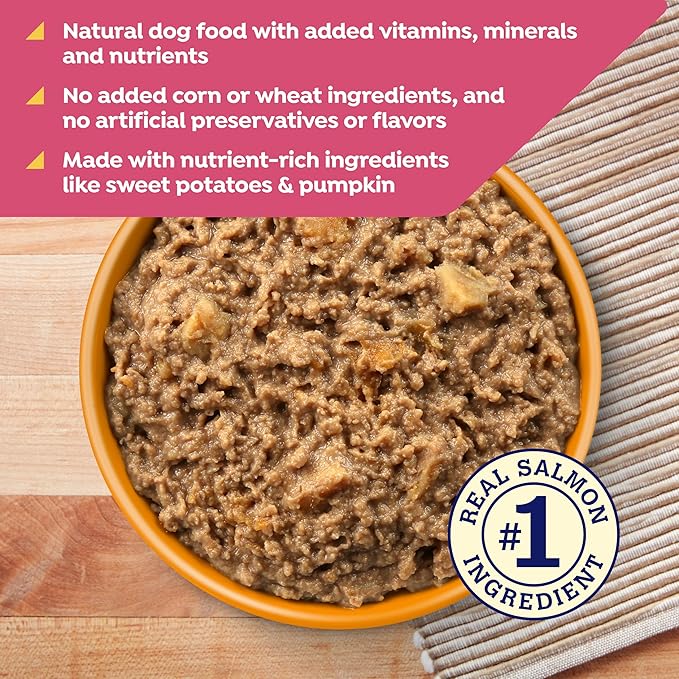 Nature's Recipe Grain Free Wet Dog Food Salmon, Sweet Potato, and Pumpkin Recipe, 13 oz. Can (Pack of 12)