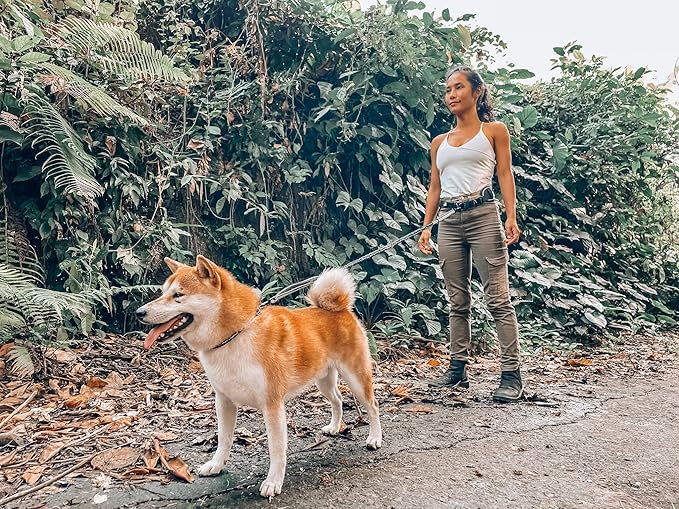 Tuff Pupper Heavy Duty Hands Free Dog Leash | One Small/Medium Dog Up to 45 lbs | Comfortable Shock Absorbing Bungee | Reflective Padded Handles | Lumbar Waist Belt 26-38" | Jogging Running Leash