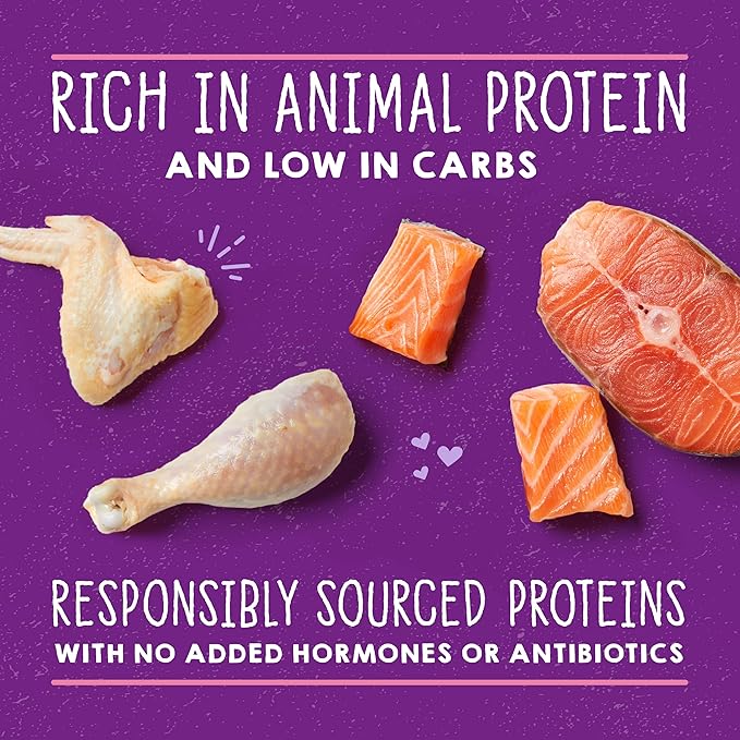 Stella & Chewy's Carnivore Cravings Savory Shreds - Wet Cat Food - High-Moisture Formula with Premium Cage-Free Chicken & Wild-Caught Salmon - Perfect for Picky Eaters - 5.2 oz, 8 Count