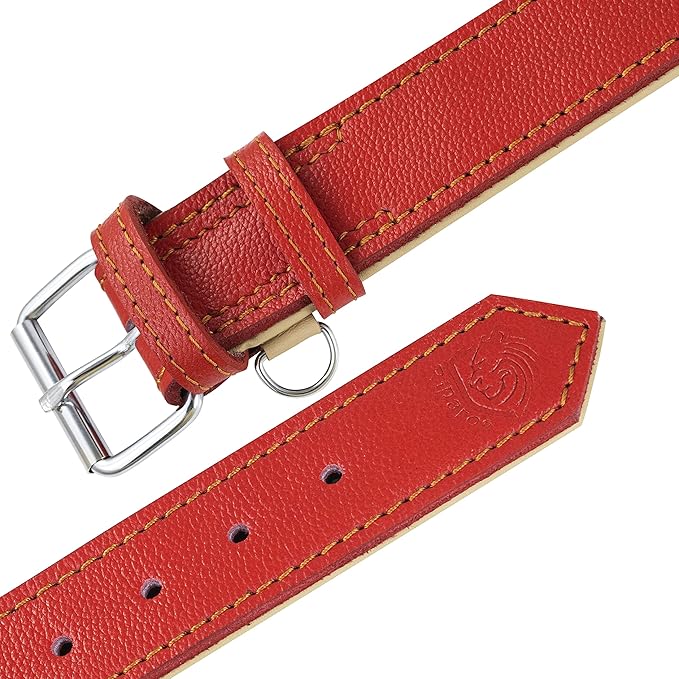 Riparo Red Leather Dog Collar - Heavy Duty Wide Dog Collar for Small, Medium, Large and Extra Large Dogs with Dog Tag Holder (XXL: 2” Wide for 26”-29” Neck, Red)