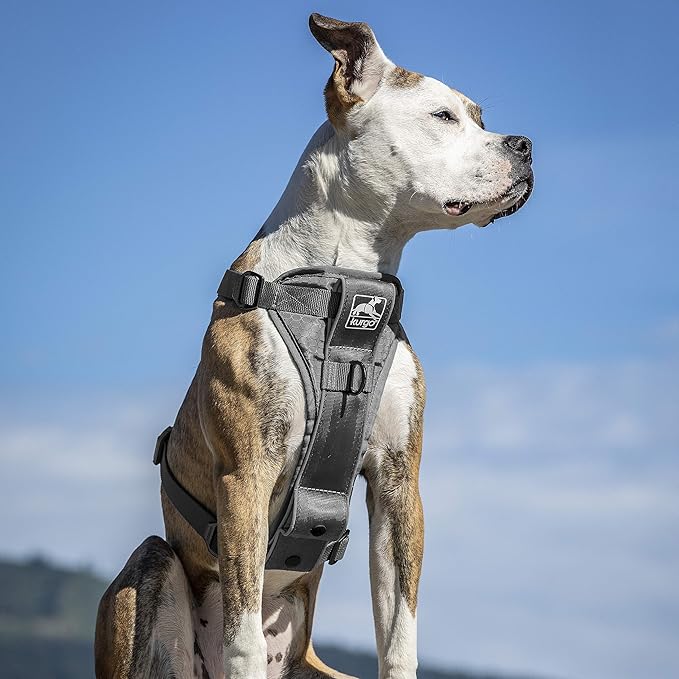 Kurgo Tru-Fit Smart Dog Walking Harness - Comfortable Fit - Adjustable Harness - Reflective Pet Wear - Quick Strap Release - Daily Walk Accessory - Includes Seat Belt Loop - Grey - Small