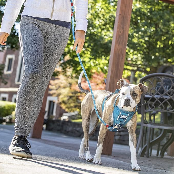 Kurgo Tru-Fit Smart Dog Walking Harness - Comfortable Fit - Adjustable Harness - Reflective Pet Wear - Quick Strap Release - Daily Walk Accessory - Includes Seat Belt Loop - Grey - Small