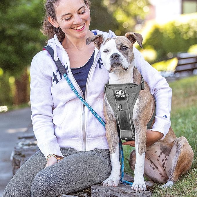 Kurgo Tru-Fit Smart Dog Walking Harness - Comfortable Fit - Adjustable Harness - Reflective Pet Wear - Quick Strap Release - Daily Walk Accessory - Includes Seat Belt Loop - Grey - Small